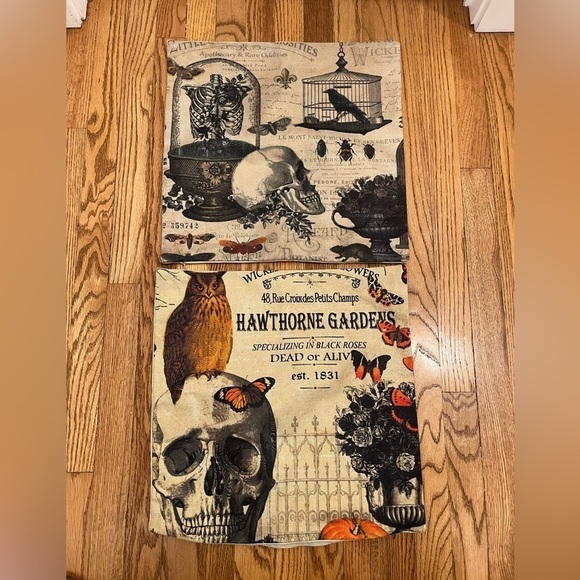 NWOT Lot of Skull Design Pillow Case 17” Square Zip Closure - Picture 1 of 4